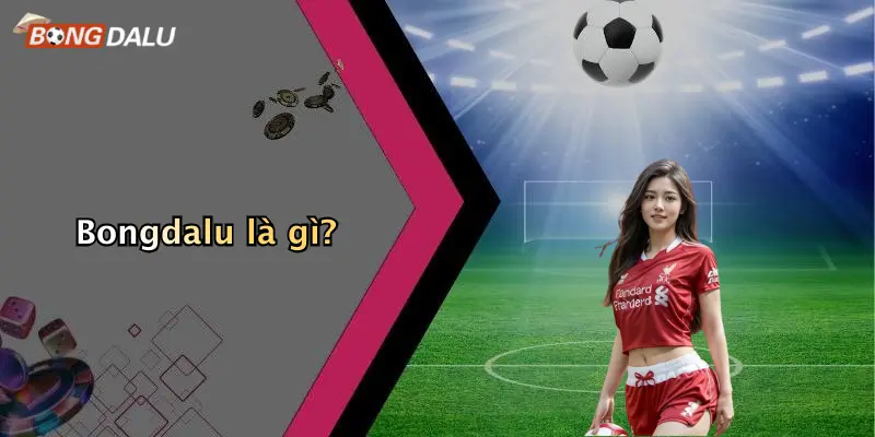 Bongdalu là gì?