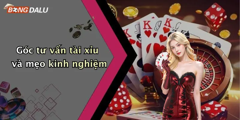 Góc tư vấn tài xỉu và mẹo kinh nghiệm